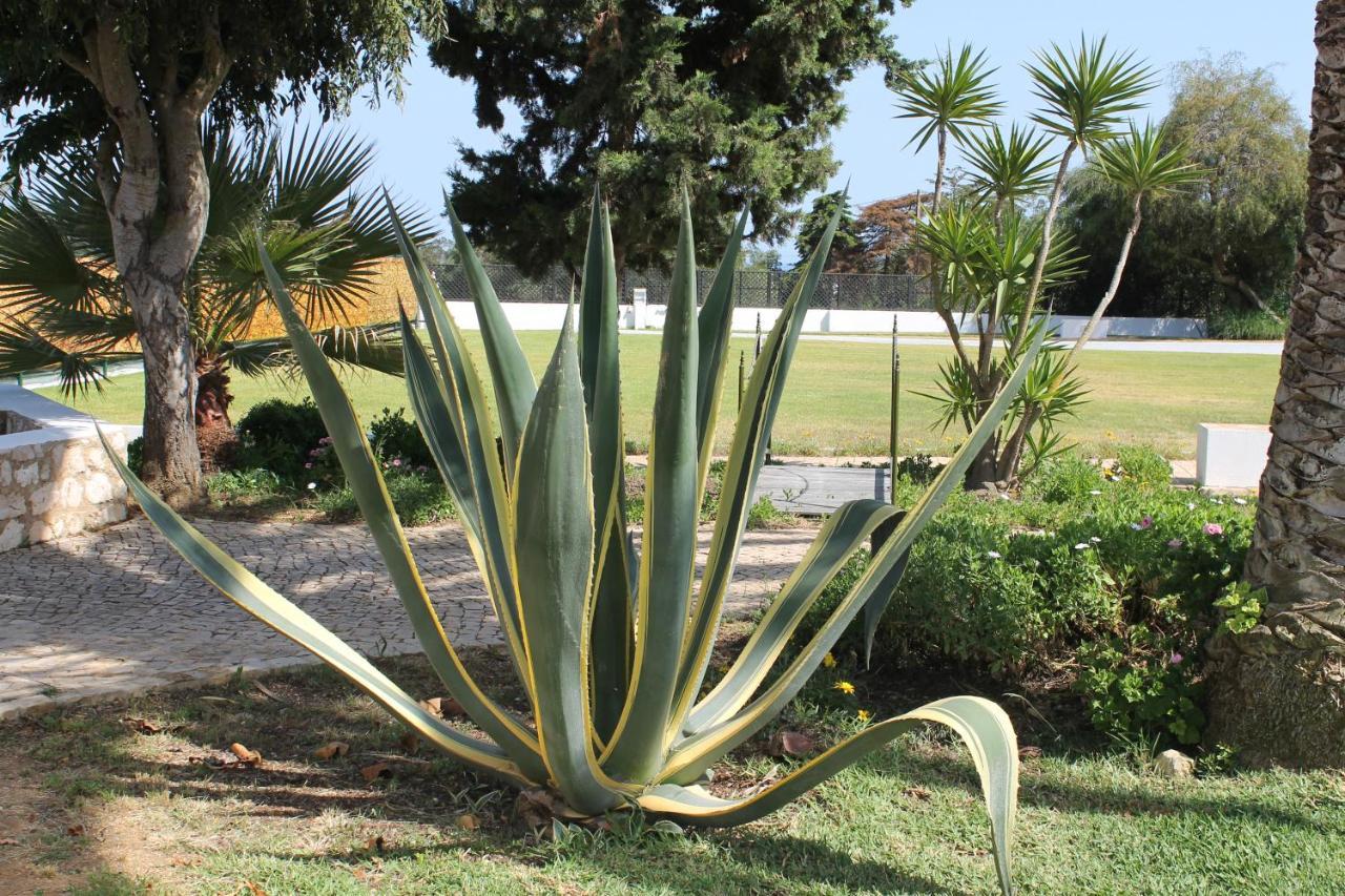 Appartamento Casa Beachcomber Le Jardin Des Arts Lagos Esterno foto