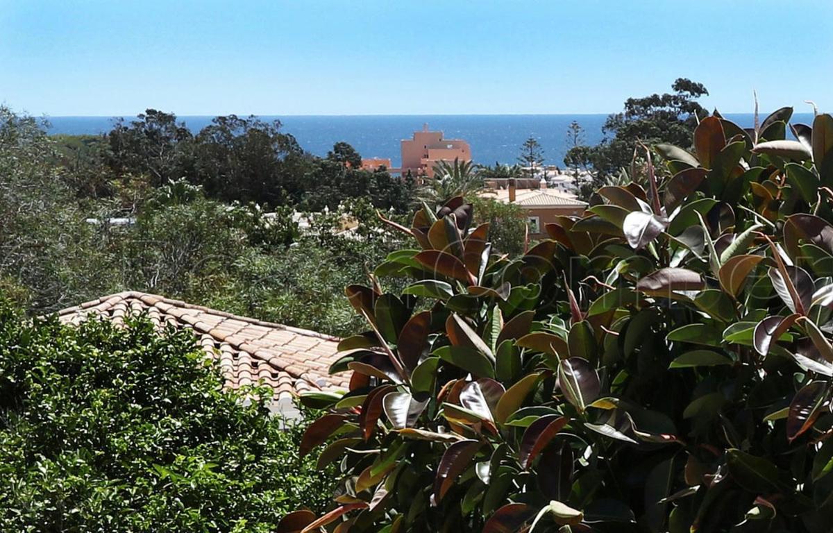 Casa Beachcomber Le Jardin Des Arts Lagos Esterno foto